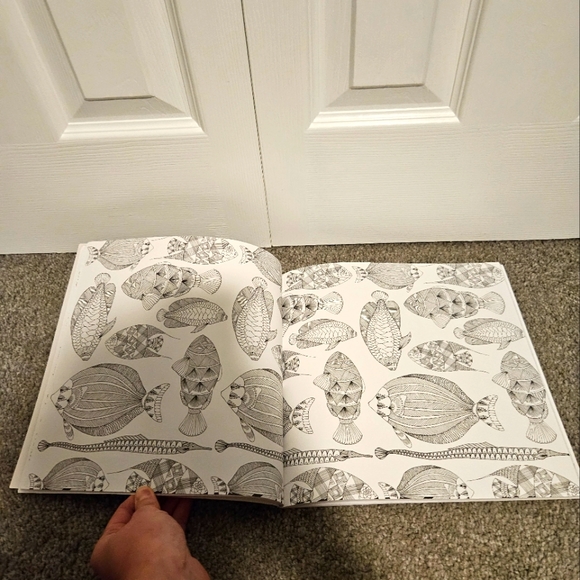 Millie Marotta | Other | Brand New Animal Kingdom Adult Coloring Book ...